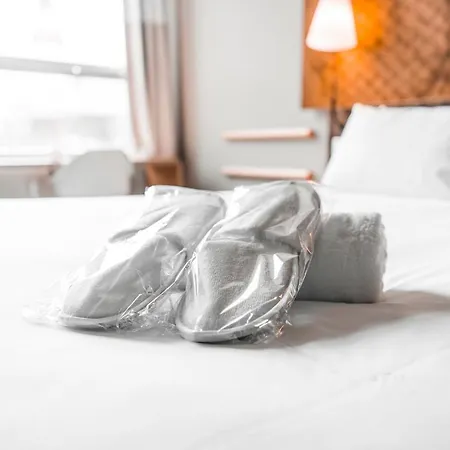Ibis Centre Hotel The Hague