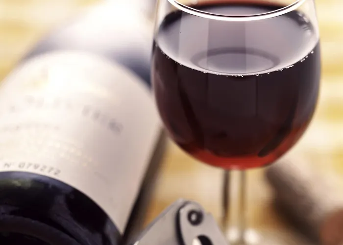 海牙市中心宜必思酒店